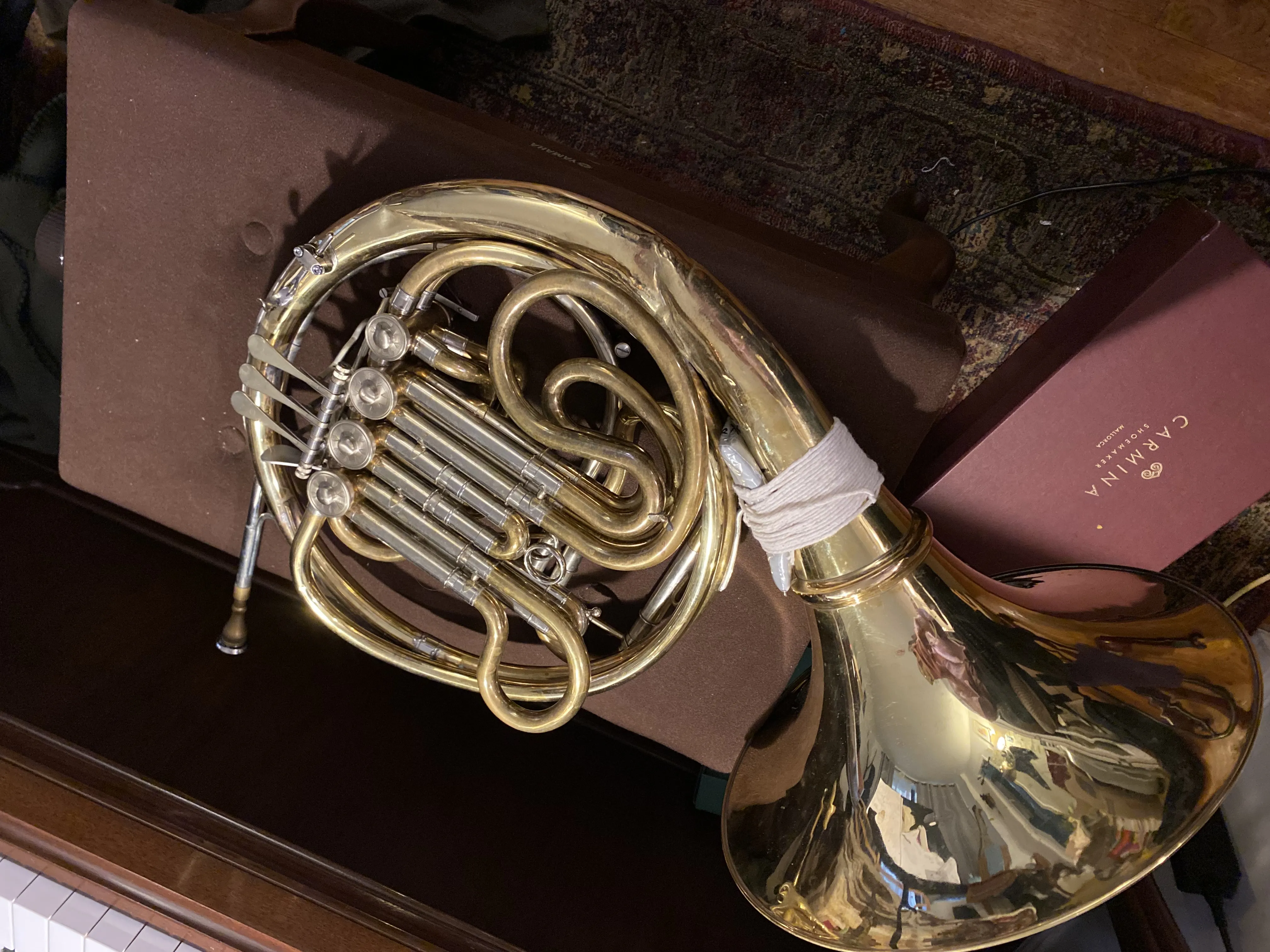 fixed horn